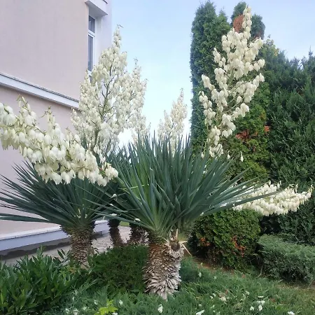 Elit 2 Studio Apartman Neszebar